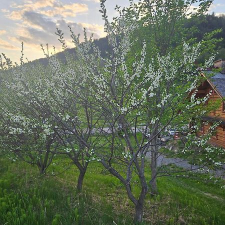 Le Repaire Viking Bed & Breakfast Sainte-Rose-du-Nord Bagian luar foto